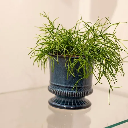 And Style Luxury Отель типа 